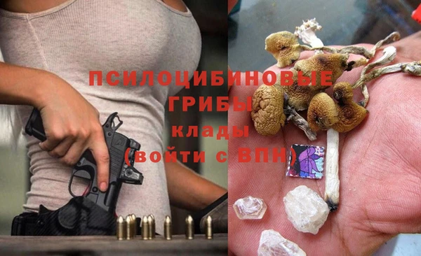 трава Армянск