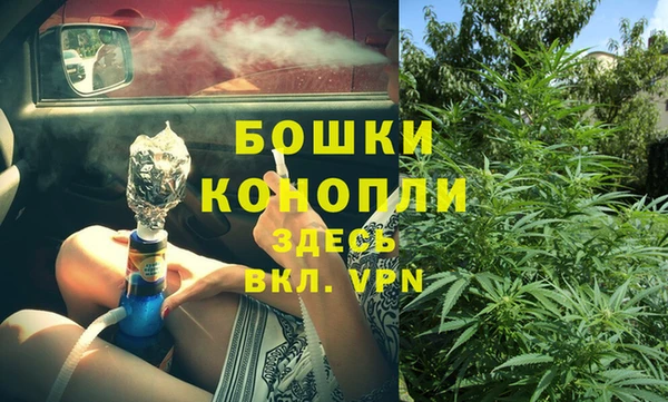 трава Армянск