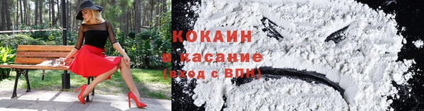 гидра Аркадак
