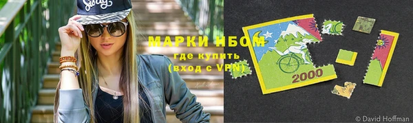 гидра Аркадак